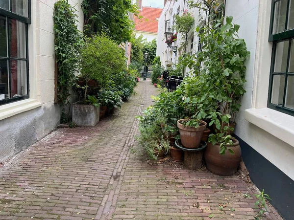 Лейден Нидерланды Июля 2022 Прекрасный Вид Городскую Улицу Зданиями Растениями — стоковое фото