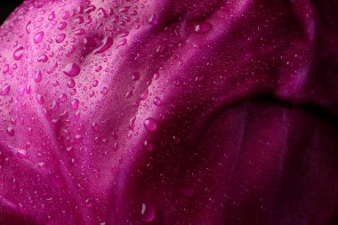 Fresh ripe red cabbage with water drops as background, closeup