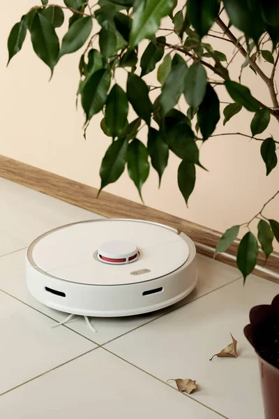 Robotic vacuum cleaner and fallen yellow leaves near houseplant indoors