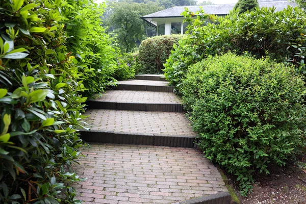 Lovely Garden Green Shrubbery Paved Stairs Landscape Design — 图库照片