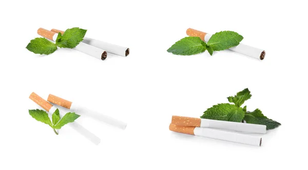 メンソールのタバコと新鮮なミントの葉を白地にセット — ストック写真