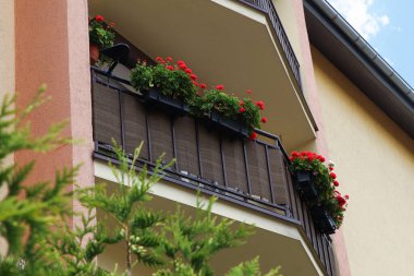 Güzel kırmızı çiçeklerle süslenmiş balkon, alçak açı manzaralı.