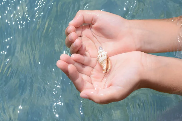 stock image Kid holding seashell in hands above water outdoors, closeup