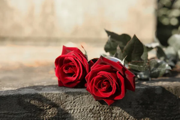 Rosas Vermelhas Lápide Cinzenta Livre Espaço Para Texto Cerimônia Funerária — Fotografia de Stock