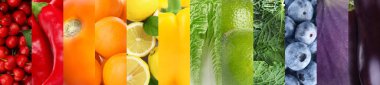 Farklı taze meyve ve sebzelerle kolaj. Pankart tasarımı
