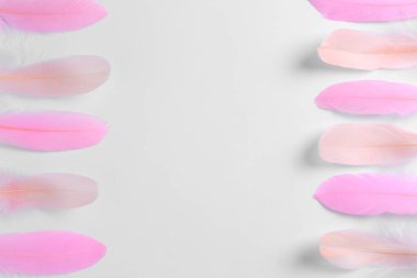 Beyaz arka planda güzel açık pembe tüyler. Metin için boşluk