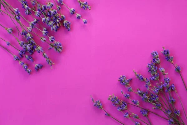 Flache Komposition Mit Schönen Lavendelblüten Auf Violettem Hintergrund Raum Für — Stockfoto