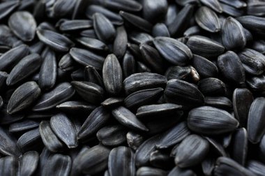 Arkaplan olarak ayçiçeği çekirdeği yığını, yakın plan
