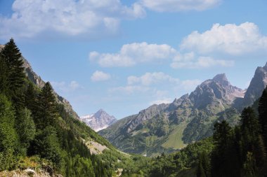 Açık mavi gökyüzü altındaki ağaçların ve dağların resimli görüntüsü, açık havada, metin için alan