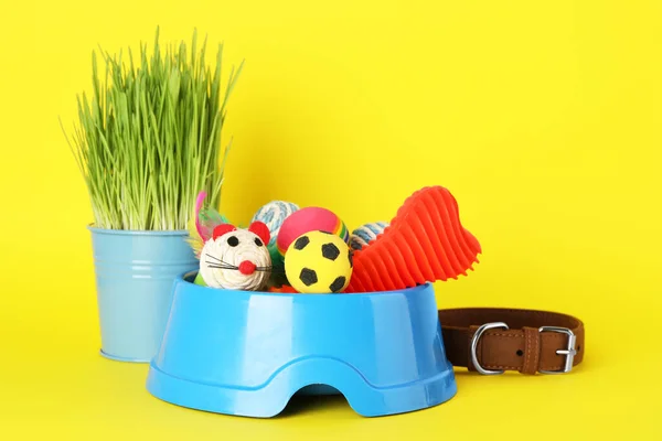 Vários Brinquedos Estimação Tigela Grama Trigo Fundo Amarelo — Fotografia de Stock