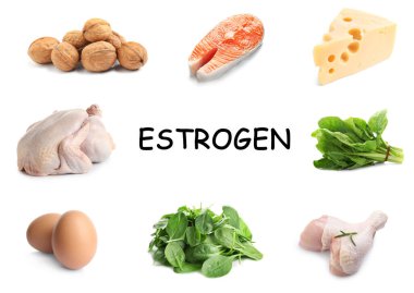 Different foods rich in estrogen that can help you stay feminine. Different tasty products on white background clipart
