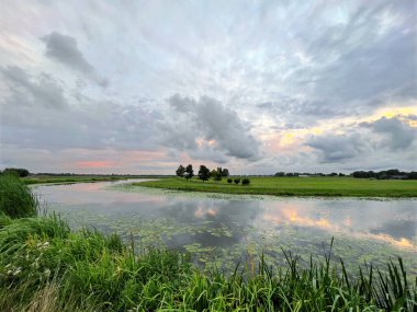 Nehir sazlıklarının ve bulutlu gökyüzünün resimli görüntüsü