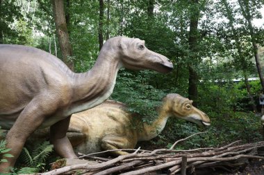 Amersfoort, Hollanda - 20 Ağustos 2022: Dierenpark 'taki dinozorlar