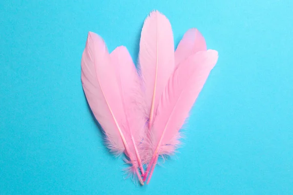 Beautiful Pink Feathers Light Blue Background Top View — Stock Photo, Image