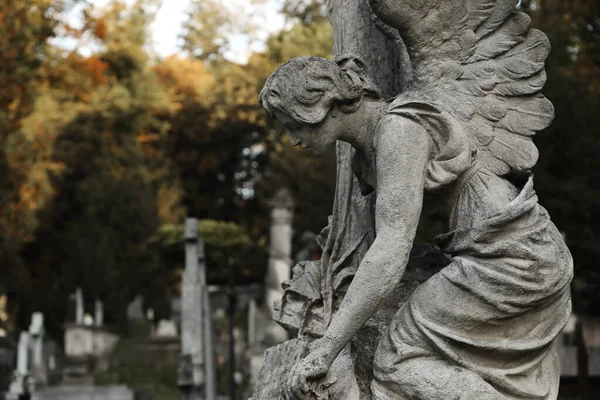 Beautiful Statue Angel Cemetery Space Text Funeral Ceremony — Stock Photo, Image
