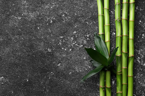 Bamboo Stems Leaves Black Textured Table Flat Lay Space Text — Stock Photo, Image