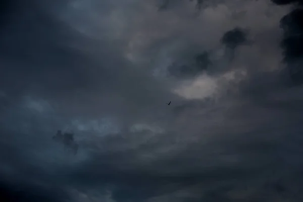 Malebný Pohled Ptáka Obloze Hustými Deštivými Mraky — Stock fotografie