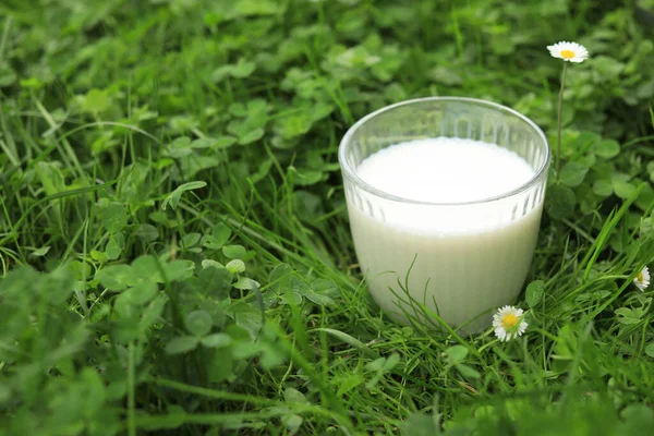 Склянка Свіжим Молоком Зеленій Траві Відкритому Повітрі Крупним Планом Простір — стокове фото