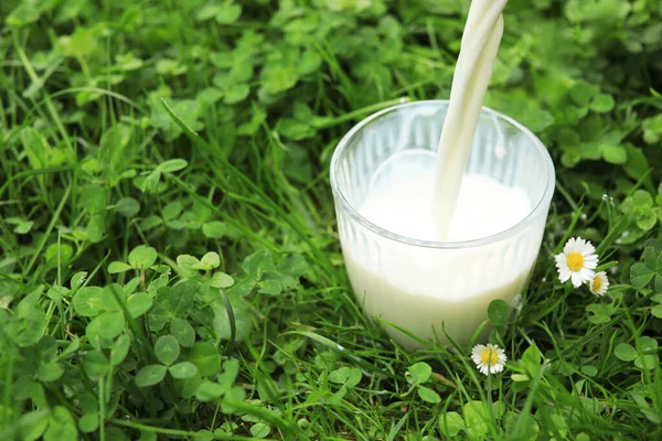 Verse Melk Glas Gieten Groen Gras Buiten Close Ruimte Voor — Stockfoto