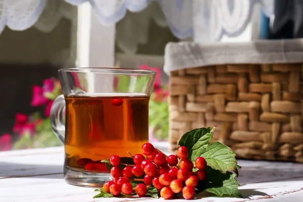 Cup Hot Drink Helpful Viburnum Berries White Wooden Table Indoors — 图库照片