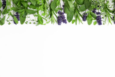 Many different aromatic herbs on white background, flat lay. Space for text