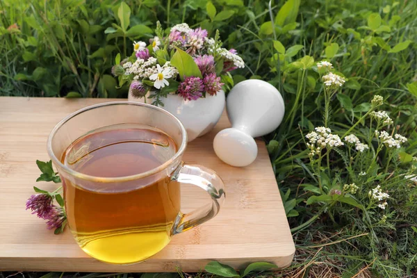 Cup Aromatic Herbal Tea Pestle Ceramic Mortar Different Wildflowers Green — Stockfoto