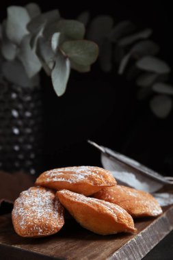 Delicious madeleine cakes with powdered sugar on table, closeup