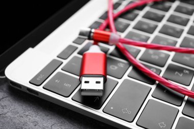 Laptop klavyesinde C tipi konnektörü olan USB kablosu, kapat