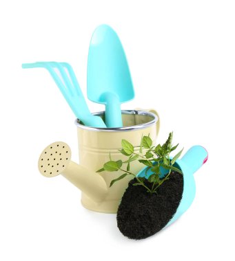 Sulama kutusu, tırmık ve malalar beyaz arka planda bitki ile