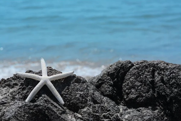 Beautiful Starfish Black Stone Sea Space Text — Stock Photo, Image
