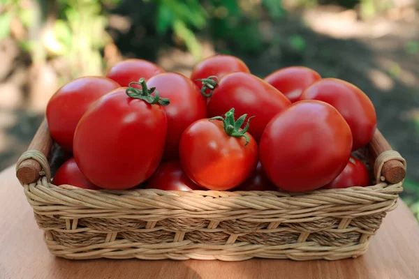 Wicker Basket Fresh Tomatoes Wooden Table Outdoors Closeup — Stock Photo, Image