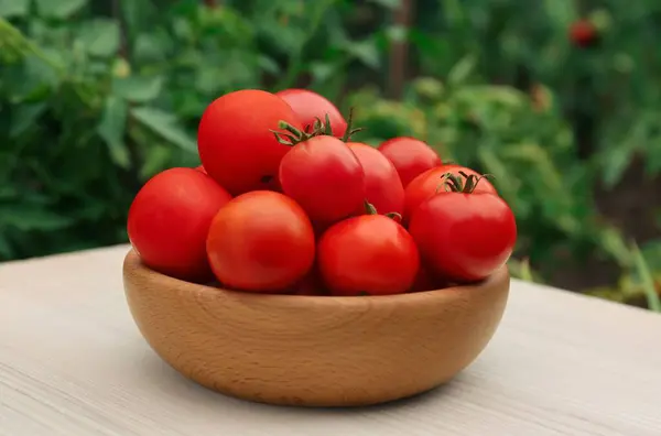 Μπολ Ώριμες Κόκκινες Ντομάτες Ανοιχτό Ξύλινο Τραπέζι Στον Κήπο — Φωτογραφία Αρχείου