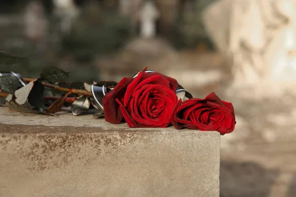 Açık Havada Gri Mezar Taşında Kırmızı Güller Cenaze Töreni — Stok fotoğraf