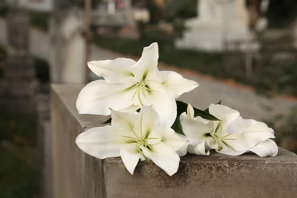 Lírios Brancos Lápide Cinzenta Livre Close Cerimônia Funerária — Fotografia de Stock