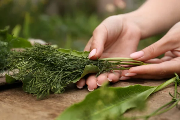 Woman holding fresh green herbs at wooden table, closeup