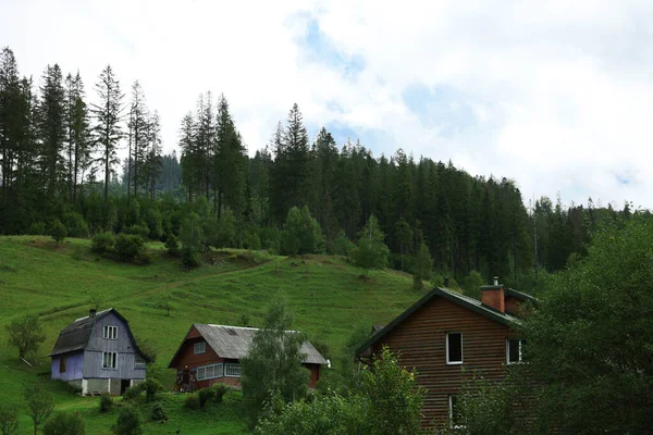 Schöne Häuser Auf Einem Hügel Der Nähe Von Nadelwald — Stockfoto