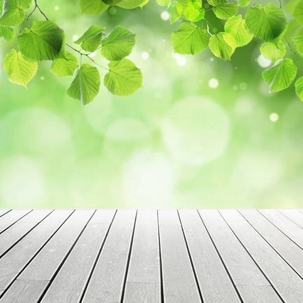 Пустая Деревянная Поверхность Красивые Зеленые Листья Размытом Фоне Эффект Боке — стоковое фото
