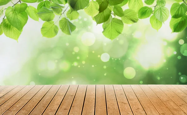 Пустая Деревянная Поверхность Красивые Зеленые Листья Размытом Фоне Эффект Боке — стоковое фото