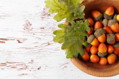 Beyaz ahşap masada bir kase meşe palamudu, üst manzara. Metin için boşluk