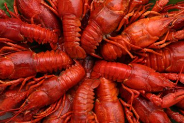 Arka plan olarak lezzetli kırmızı haşlanmış kerevit, üst manzara