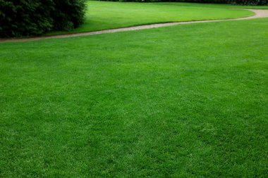 Beautiful freshly cut green lawn in park