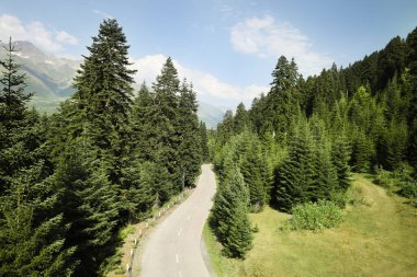 Dağların yakınındaki ağaçlarla dolu güzel bir yol açık mavi bulutlu gökyüzü altında