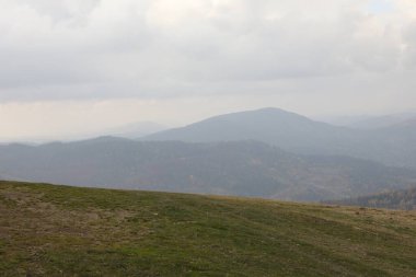 Sonbahar günü dağlarda ormanlı güzel bir manzara.