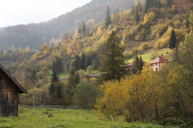 Sonbahar günü orman ve dağ köyünün güzel manzarası