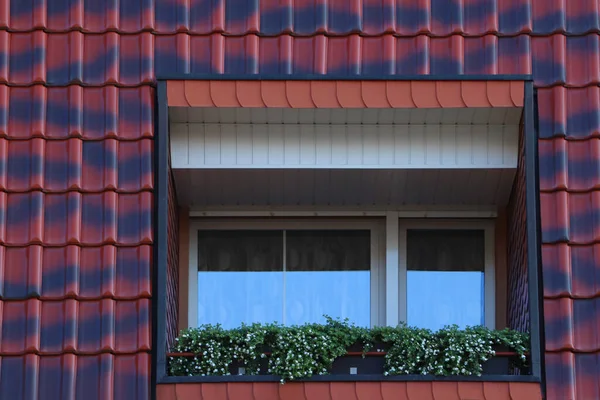 美しい開花鉢植えで飾られた屋根の窓 — ストック写真