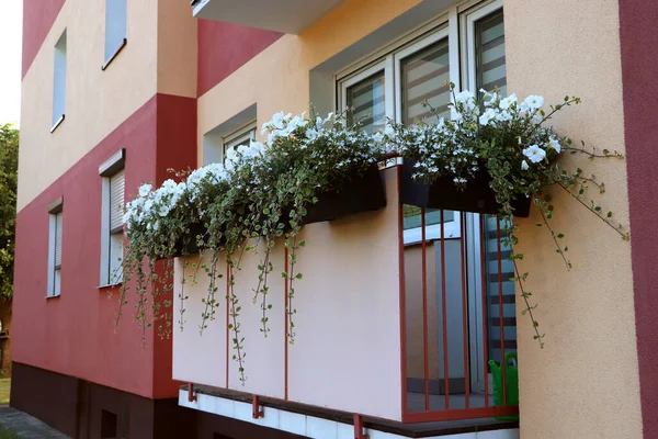 Балкон Украшенный Красивыми Цветущими Растениями — стоковое фото