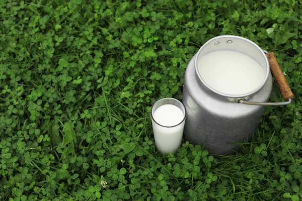 Can Glass Fresh Milk Green Grass Outdoors Space Text — Zdjęcie stockowe