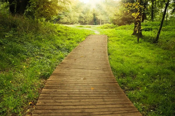 stock image Beautiful public city park with pathway and green grass