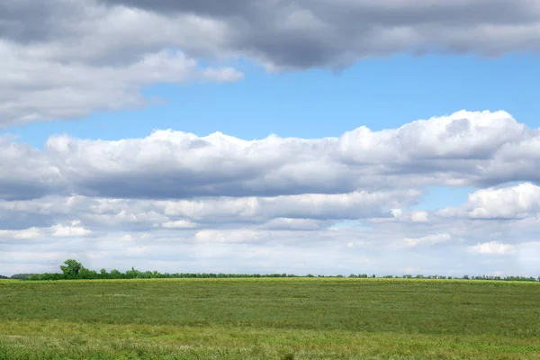 Malowniczy Widok Pięknych Puszystych Chmur Błękitnym Niebie Nad Polem — Zdjęcie stockowe