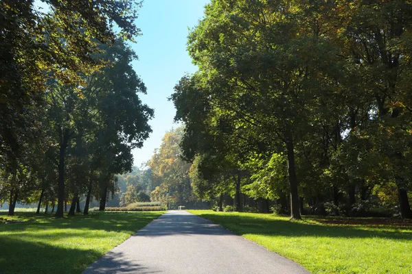 Beautiful View Public City Park Pathway Sunny Day — Stock Photo, Image